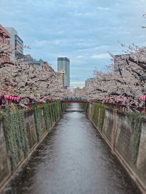 ⛩️ 쓰쿠도 신사 (쓰쿠도 진자)